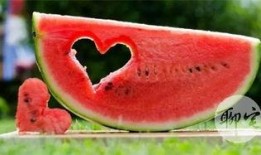 左右吃瓜的样子,笑谈人间百态