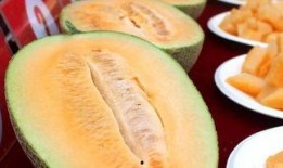 上海吃哈密瓜,哈密瓜的甜蜜邂逅