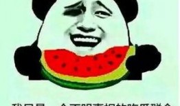 吃瓜嘴痛,揭秘娱乐圈背后的真相与代价