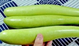 98吃瓜,揭秘娱乐圈那些不为人知的幕后故事