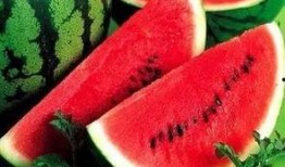 吃瓜就是种瓜人,揭秘瓜农的甜蜜生活