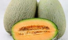 结石吃哈密瓜,天然食材助你轻松摆脱结石困扰