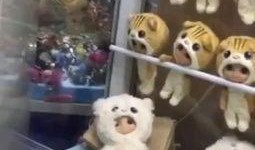 玩偶姐姐传送门 吃瓜,揭秘吃瓜背后的娱乐真相