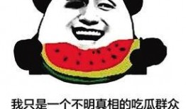 力哥吃瓜摸鱼,揭秘娱乐圈幕后故事