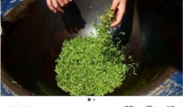 吃瓜迟到,揭秘娱乐圈幕后风云