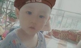 吃瓜小林2,揭秘娱乐圈背后的秘密与真相