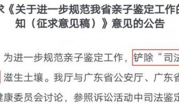 亲子鉴定吃瓜,揭秘背后的家庭秘密与伦理争议