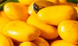 定陶维也纳吃瓜,一场别开生面的“吃瓜”盛宴