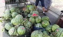 安徽平湖吃瓜事件视频,一场引发热议的街头冲突