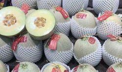 龙蜜瓜怎么吃,解锁夏日清新美味