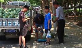 中江吃瓜群众,揭秘当地独特民俗风情