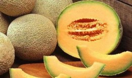 月经期哈密瓜可以吃吗,月经期哈密瓜食用适宜性探讨