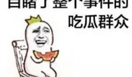 求吃瓜图,揭秘吃瓜图背后的趣味与真相