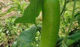 昨天晚上吃瓜,一场意想不到的娱乐圈风云