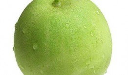 吃瓜群众蔬果店,新鲜蔬果，尽享健康生活