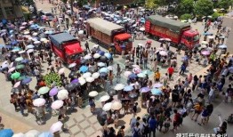 吃瓜汽车排队图片,汽车排队成风景线