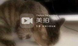 喵喵吃瓜视频,揭秘娱乐圈那些不为人知的幕后故事