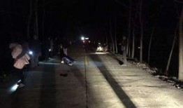 老人吃瓜被车子撞到,老人吃瓜不幸被撞，安全意识警钟长鸣