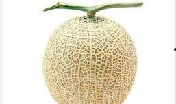 瓜群出现吃瓜方法,轻松掌握瓜界潮流