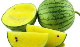 潮流博主吃瓜图片,揭秘娱乐圈最新瓜料！