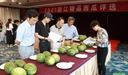 大型吃瓜活动评选,年度评选盘点，谁是瓜王？