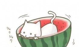 叮当吃瓜群,揭秘网络社交圈的趣味与争议