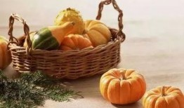 五一免费吃瓜官网,免费瓜果盛宴等你来享！