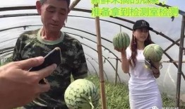 吃瓜直播流量塌方,揭秘背后真相与行业反思