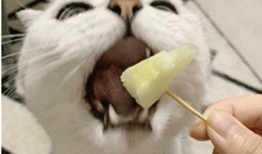 吃瓜现象研究,吃瓜群众背后的社会现象解析