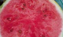 吃医院的瓜,揭秘医疗圈内的那些“瓜”