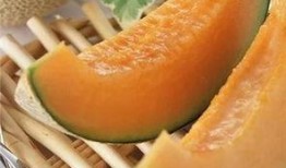 哈密瓜吃瓜社,揭秘瓜界新潮流，共享甜蜜生活瞬间