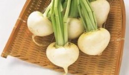 萝卜归期吃瓜,瓜果飘香——探寻时令美食的归期之旅