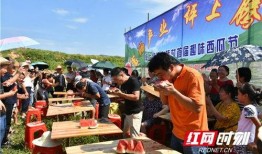 村民吃瓜现场,欢乐氛围下的乡村生活剪影