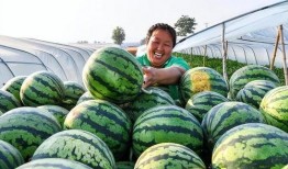 人民网吃瓜,从娱乐八卦到社会现象