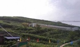 汉源小学吃瓜事件,校园食品安全引发关注