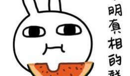 搞笑吃瓜娃娃文案短句,趣味横生的短句集锦