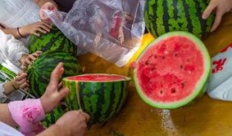 吃瓜视频大全最新