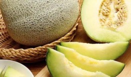 小豆吃网纹蜜瓜,网纹蜜瓜的甜蜜诱惑