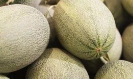 上海吃哈密瓜,哈密瓜的甜蜜邂逅