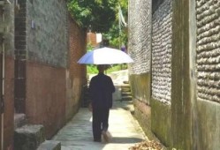 广西亭子吃瓜事件,一场引发热议的街头冲突