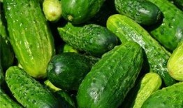 梦到吃蔫瓜,揭秘潜意识中的渴望与困惑