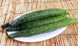 梦到吃蔫瓜,揭秘潜意识中的渴望与困惑