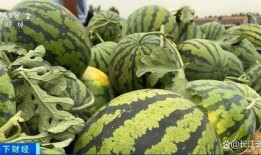 上麦聊天吃瓜,吃瓜群众揭秘娱乐圈幕后故事