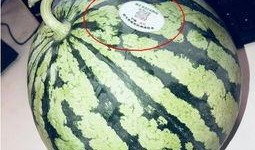 景区吃瓜网红,揭秘网红美食背后的故事