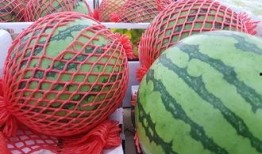 发烧吃瓜,揭秘网络热点的背后真相