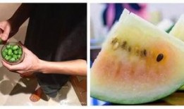 吃瓜群众冰淇淋,清凉一夏的甜蜜诱惑