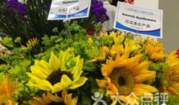 扬州花店吃瓜,吃瓜之余，品味生活之美