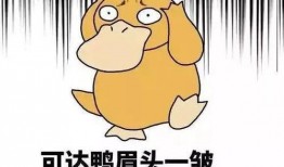 吃瓜小熊唱歌视频,网络热传治愈系视频