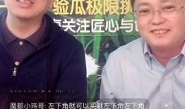 小6吃瓜直播,揭秘娱乐圈幕后故事