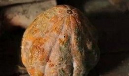 吃付瓜易得癌,警惕日常饮食中的健康隐患